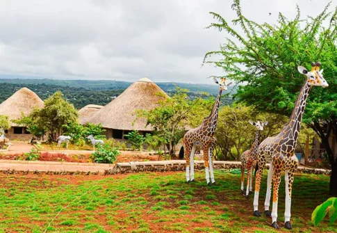 Eco-Lodge & Maasai Girls Rescue Center: A Project We’re Proud to Build